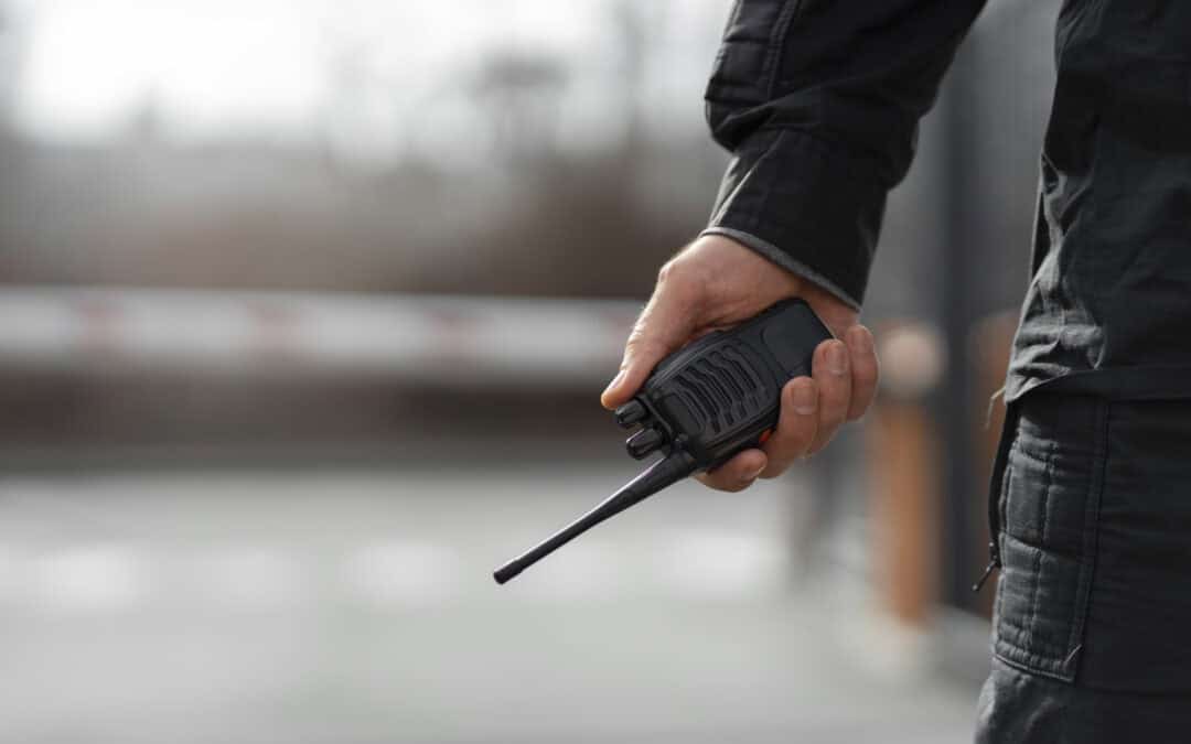 Inspecciones de la policía en materia de seguridad privada